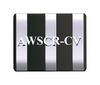 ABRACON AWSCR-20.00CV-T