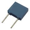 EPCOS B32529C0105J189