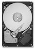 SEAGATE ST1000DL002