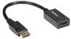 STARTECH DP2HDMI2