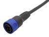 BULGIN LIMITED PXP4000/002/02P.