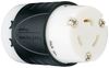 LEGRAND PASS & SEYMOUR L620C