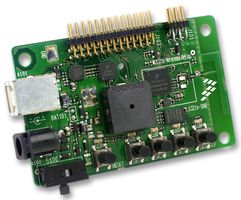 NXP 1321XDSK