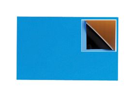 FORTEX FBDS160