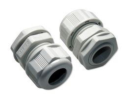 MP015669_其它