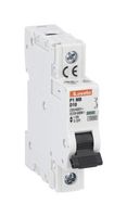 LOVATO P1MB1PD02 Thermal Magnetic Circuit Breaker, D Trip Curve, IP20/10 kA, P1MB Series, 2 A, 1 Pole, 80 V, 230 V