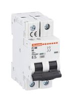 LOVATO P1MB2PD01 Thermal Magnetic Circuit Breaker, D Trip Curve, IP20/10 kA, P1MB Series, 1 A, 2 Pole, 125 V, 400 V