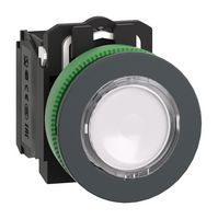 SCHNEIDER ELECTRIC XB5FW31M5.