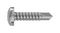 TR FASTENINGS 4.8 X 19 PUSTDX Z100 UNSERRATED DIN7504