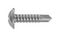 TR FASTENINGS 4.2 X 32 FLSTDX Z100 DIN7504
