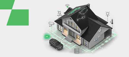 Renesas